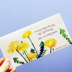 꽃말 용돈/편지봉투 - 민들레