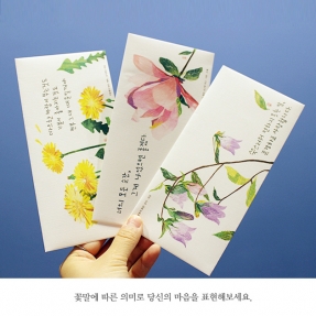 꽃말 용돈/편지봉투 3종